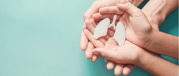 A photo of adult and child hands holding lung