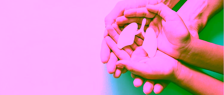 A photo of adult and child hands holding lung